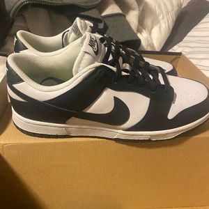 nike dunks brand new